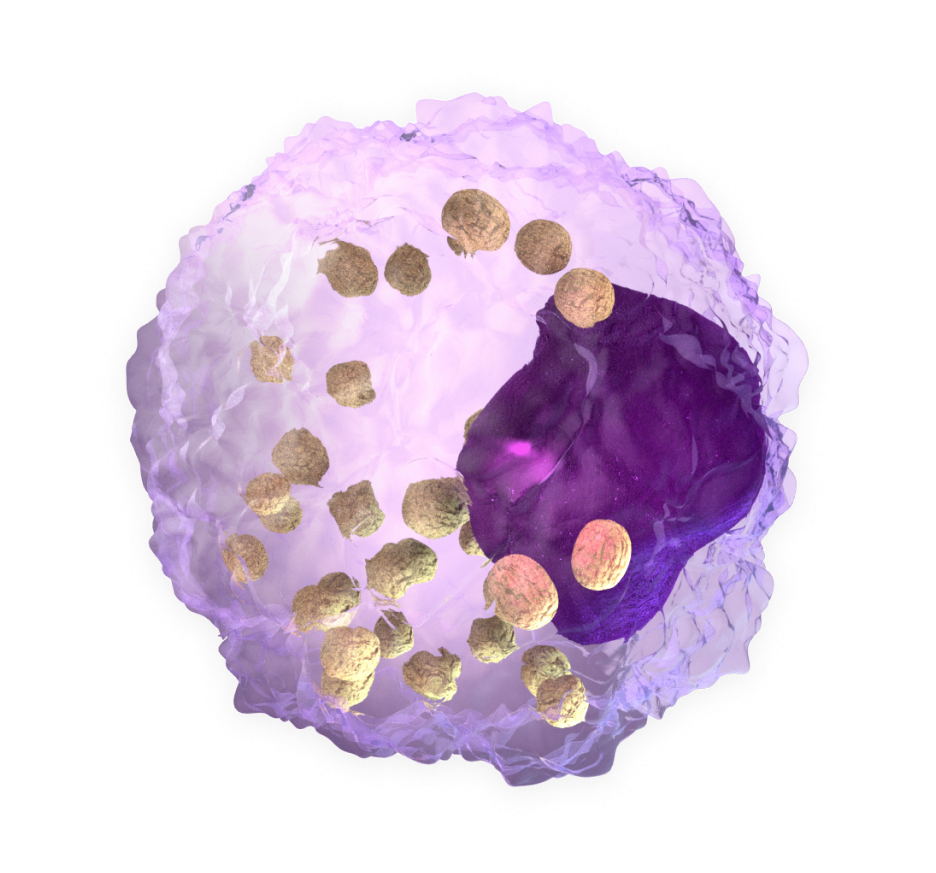 cell_image